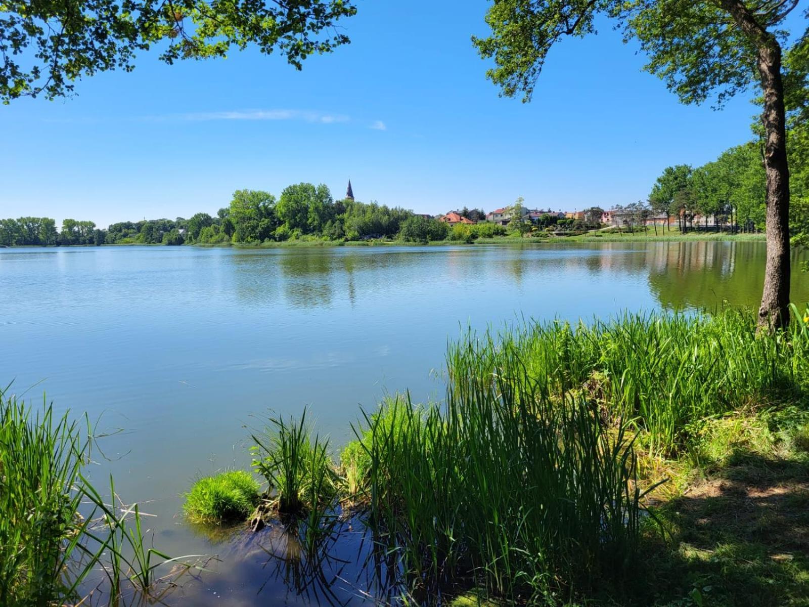 Lesna Stodola Holiday home Lubien Kujawski